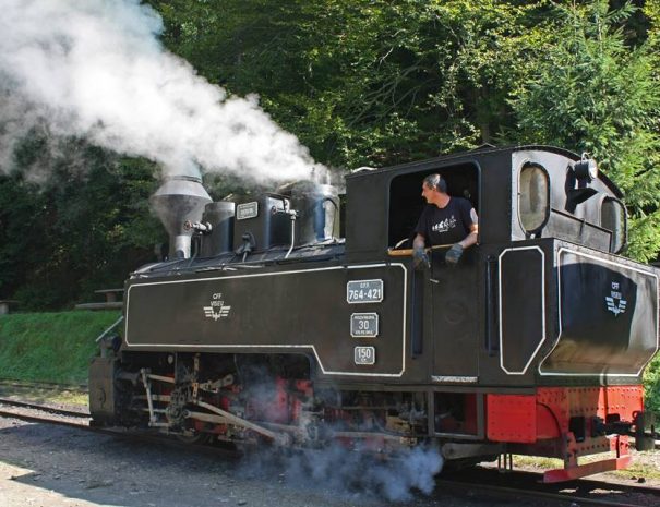 Felsővisói kisvasút, Máramaros