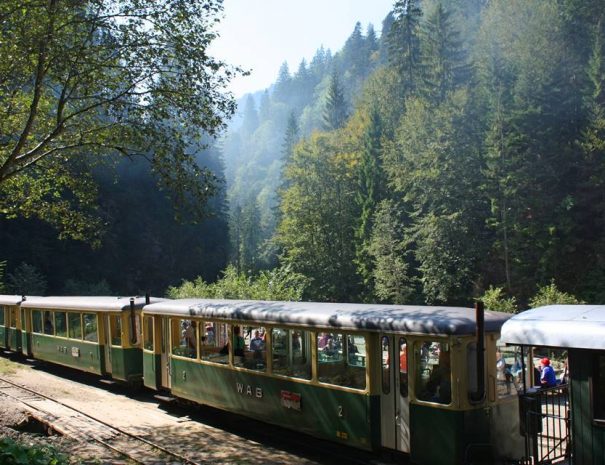 Felsővisói kisvasút, Máramaros