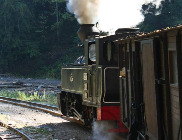 Felsővisói kisvasút, Máramaros