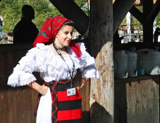 Felsővisói kisvasút, Máramaros